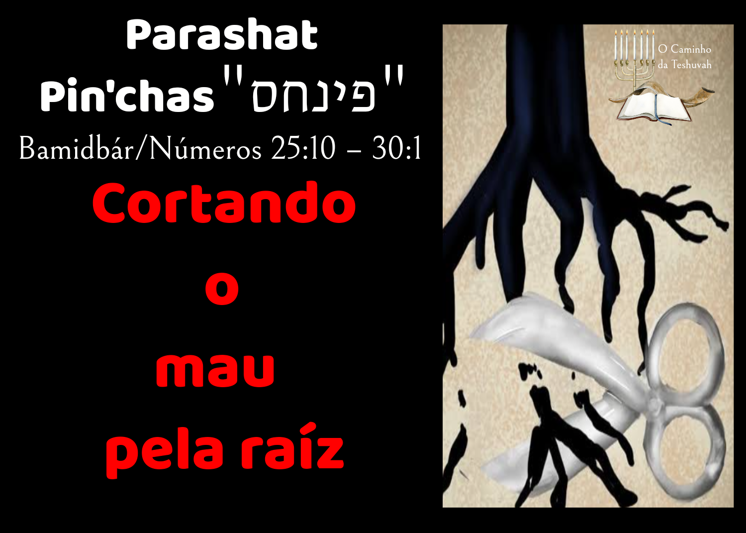 Parashat Pin’chas (Boca de bronze)